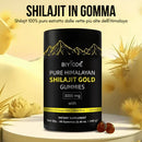 gid://shopify/MediaImage/54801050534235